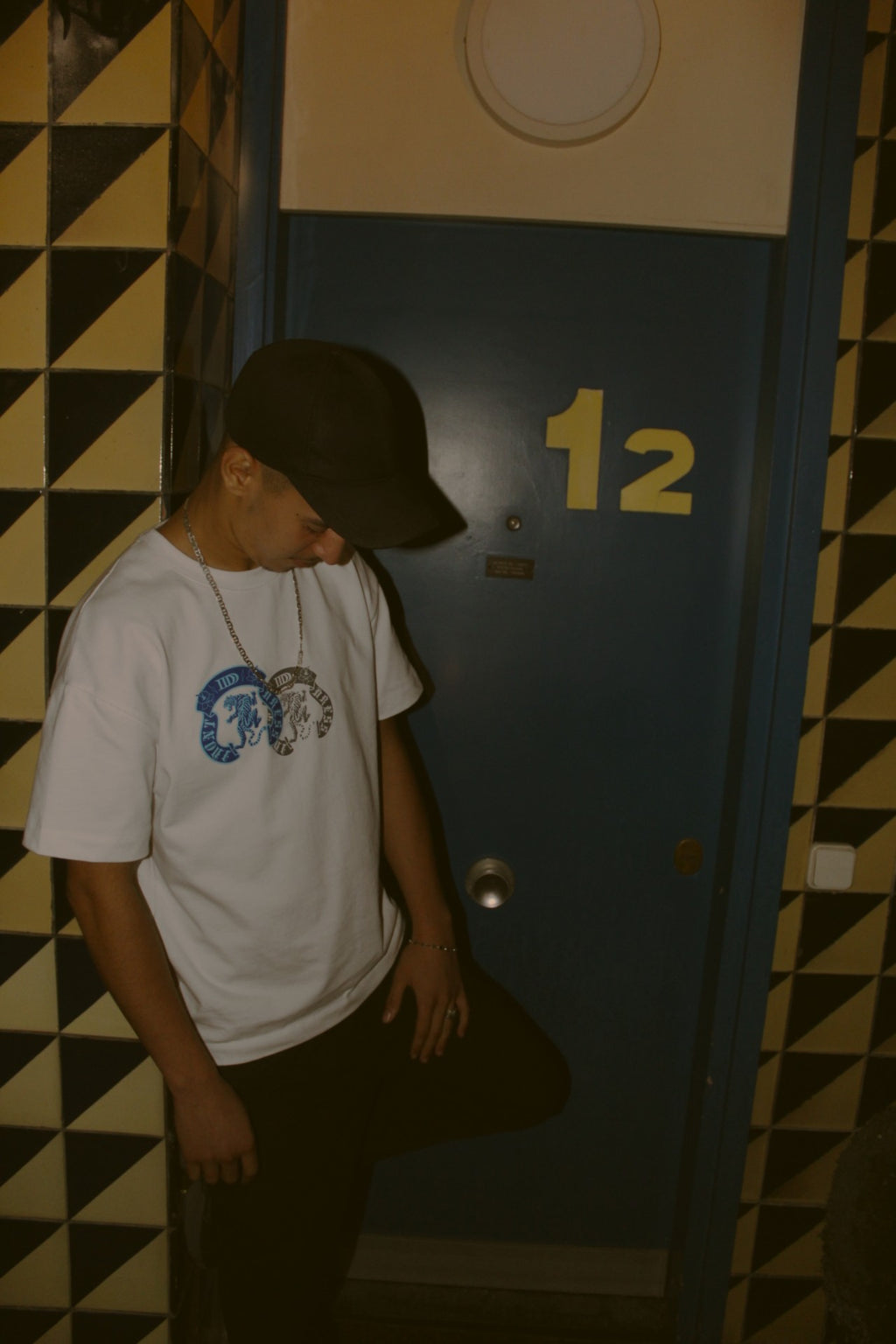 ALNAMIR-001