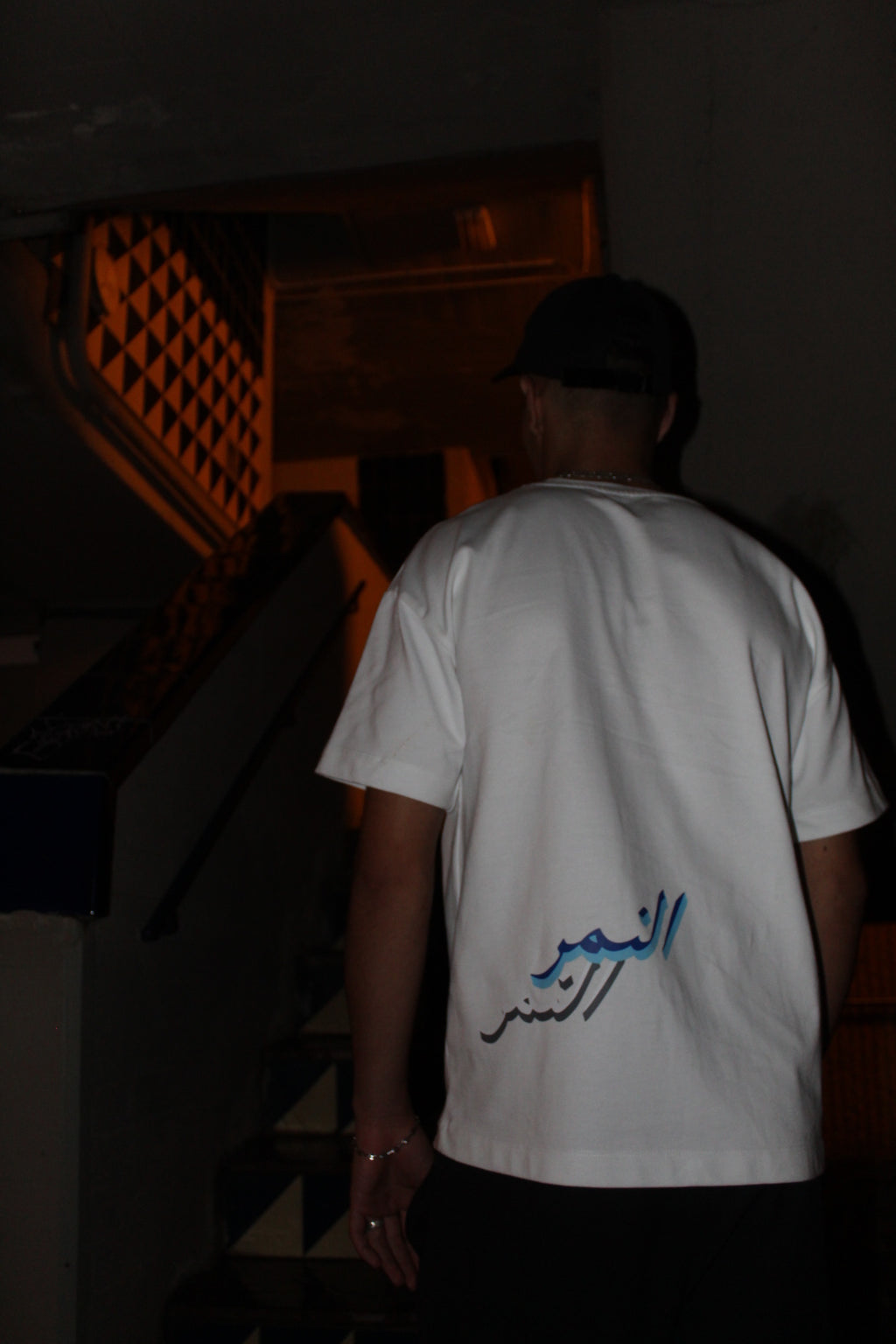 ALNAMIR-001